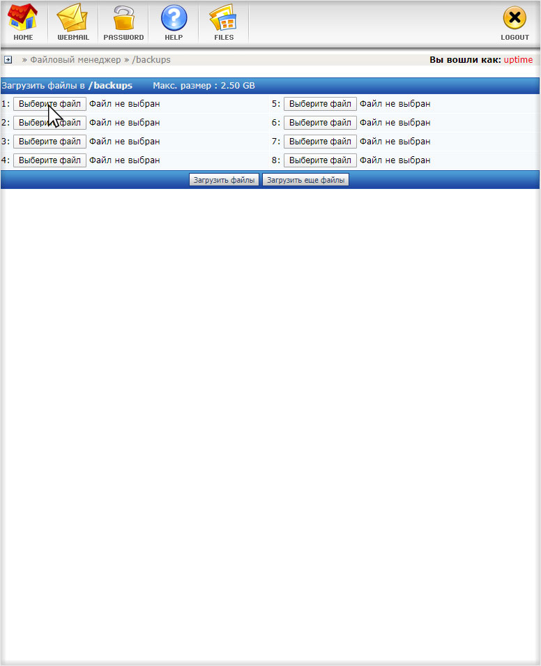 Страница загрузки бэкапа сайта с компьютера на хостинг с DirectAdmin