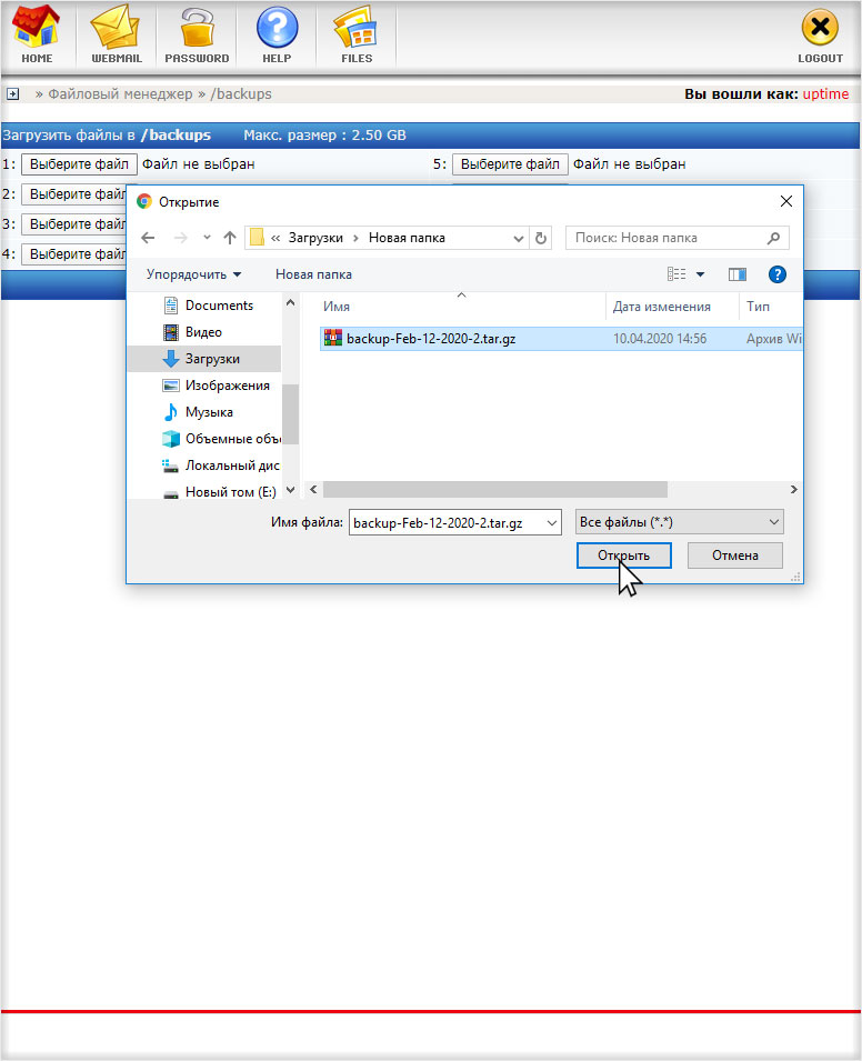 Выбор файла с резервной копией сайта для загрузки на хостинг с DirectAdmin